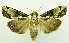  ( - USNM ENT 00800213)  @11 [ ] Unspecified (default): All Rights Reserved  Unspecified Unspecified