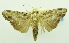  ( - USNM ENT 00800215)  @11 [ ] Unspecified (default): All Rights Reserved  Unspecified Unspecified