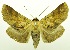  ( - USNM ENT 00800378)  @11 [ ] Unspecified (default): All Rights Reserved  Unspecified Unspecified