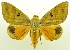  ( - USNM ENT 00800382)  @14 [ ] Unspecified (default): All Rights Reserved  Unspecified Unspecified