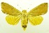  ( - USNM ENT 00800384)  @14 [ ] Unspecified (default): All Rights Reserved  Unspecified Unspecified