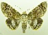  ( - USNM ENT 00800391)  @11 [ ] Unspecified (default): All Rights Reserved  Unspecified Unspecified