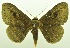  ( - USNM ENT 00800400)  @11 [ ] Unspecified (default): All Rights Reserved  Unspecified Unspecified