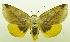  ( - USNM ENT 00800412)  @14 [ ] Unspecified (default): All Rights Reserved  Unspecified Unspecified