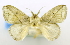  ( - USNM ENT 00800675)  @11 [ ] Unspecified (default): All Rights Reserved  Unspecified Unspecified