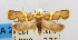  ( - USNM ENT 00800766)  @11 [ ] Unspecified (default): All Rights Reserved  Unspecified Unspecified