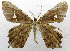  ( - USNM ENT 00800943)  @13 [ ] Unspecified (default): All Rights Reserved  Unspecified Unspecified