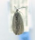  ( - USNM ENT 00808676)  @11 [ ] Unspecified (default): All Rights Reserved  Unspecified Unspecified