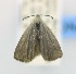  ( - USNM ENT 00808677)  @11 [ ] Unspecified (default): All Rights Reserved  Unspecified Unspecified