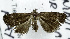  ( - USNM ENT 00931930)  @14 [ ] Unspecified (default): All Rights Reserved  Unspecified Unspecified
