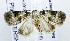  ( - USNM ENT 00933539)  @11 [ ] Unspecified (default): All Rights Reserved  Unspecified Unspecified