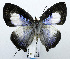  ( - USNM ENT 00933542)  @14 [ ] Unspecified (default): All Rights Reserved  Unspecified Unspecified