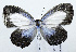  ( - USNM ENT 00933545)  @11 [ ] Unspecified (default): All Rights Reserved  Unspecified Unspecified