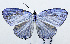  ( - USNM ENT 00933546)  @13 [ ] Unspecified (default): All Rights Reserved  Unspecified Unspecified