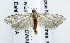  ( - USNM ENT 00933547)  @13 [ ] Unspecified (default): All Rights Reserved  Unspecified Unspecified
