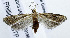  ( - USNM ENT 00933548)  @13 [ ] Unspecified (default): All Rights Reserved  Unspecified Unspecified