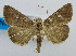  ( - USNM ENT 00980552)  @14 [ ] Unspecified (default): All Rights Reserved  Unspecified Unspecified