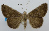  ( - USNM ENT 00980555)  @14 [ ] Unspecified (default): All Rights Reserved  Unspecified Unspecified
