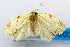  ( - USNM ENT 00980728)  @11 [ ] Unspecified (default): All Rights Reserved  Unspecified Unspecified