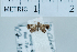  ( - USNM ENT 00700994)  @12 [ ] Unspecified (default): All Rights Reserved  Unspecified Unspecified