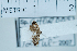  ( - USNM ENT 00664698)  @12 [ ] Unspecified (default): All Rights Reserved  Unspecified Unspecified