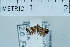  ( - USNM ENT 00702052)  @12 [ ] Unspecified (default): All Rights Reserved  Unspecified Unspecified