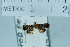  ( - USNM ENT 00730601)  @12 [ ] Unspecified (default): All Rights Reserved  Unspecified Unspecified