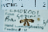  ( - USNM ENT 00730592)  @12 [ ] Unspecified (default): All Rights Reserved  Unspecified Unspecified