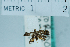  ( - USNM ENT 00730623)  @12 [ ] Unspecified (default): All Rights Reserved  Unspecified Unspecified