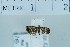  ( - USNM ENT 00700995)  @12 [ ] Unspecified (default): All Rights Reserved  Unspecified Unspecified