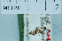  ( - USNM ENT 00730445)  @12 [ ] Unspecified (default): All Rights Reserved  Unspecified Unspecified
