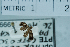  ( - USNM ENT 00730449)  @12 [ ] Unspecified (default): All Rights Reserved  Unspecified Unspecified