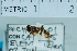 ( - USNM ENT 00211949a)  @12 [ ] Unspecified (default): All Rights Reserved  Unspecified Unspecified
