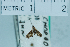 ( - USNM ENT 00730447)  @12 [ ] Unspecified (default): All Rights Reserved  Unspecified Unspecified