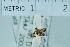  ( - USNM ENT 00730486)  @12 [ ] Unspecified (default): All Rights Reserved  Unspecified Unspecified
