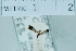  ( - USNM ENT 00730456)  @12 [ ] Unspecified (default): All Rights Reserved  Unspecified Unspecified