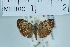  ( - USNM ENT 00730288)  @11 [ ] Unspecified (default): All Rights Reserved  Unspecified Unspecified