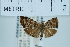  ( - USNM ENT 00730303)  @11 [ ] Unspecified (default): All Rights Reserved  Unspecified Unspecified