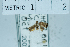  ( - USNM ENT 00207400)  @12 [ ] Unspecified (default): All Rights Reserved  Unspecified Unspecified