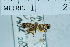  ( - USNM ENT 00204205)  @12 [ ] Unspecified (default): All Rights Reserved  Unspecified Unspecified
