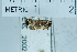  ( - USNM ENT 00204084)  @12 [ ] Unspecified (default): All Rights Reserved  Unspecified Unspecified