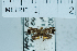  ( - USNM ENT 00204243)  @12 [ ] Unspecified (default): All Rights Reserved  Unspecified Unspecified