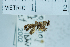  ( - USNM ENT 00207410)  @12 [ ] Unspecified (default): All Rights Reserved  Unspecified Unspecified