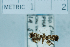  ( - USNM ENT 00497351a)  @12 [ ] Unspecified (default): All Rights Reserved  Unspecified Unspecified