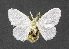  ( - USNM ENT 00931734A)  @11 [ ] Unspecified (default): All Rights Reserved  Unspecified Unspecified