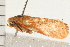  ( - PNG 10372)  @12 [ ] CreativeCommons - Attribution (2008) Unspecified Centre for Biodiversity Genomics