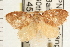  ( - PNG 2328)  @12 [ ] CreativeCommons - Attribution (2008) Unspecified Centre for Biodiversity Genomics