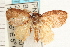  ( - PNG 2637)  @14 [ ] CreativeCommons - Attribution (2008) Unspecified Centre for Biodiversity Genomics