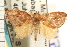  ( - PNG 2697)  @13 [ ] CreativeCommons - Attribution (2008) Unspecified Centre for Biodiversity Genomics