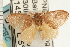  ( - PNG 2856)  @14 [ ] CreativeCommons - Attribution (2008) Unspecified Centre for Biodiversity Genomics